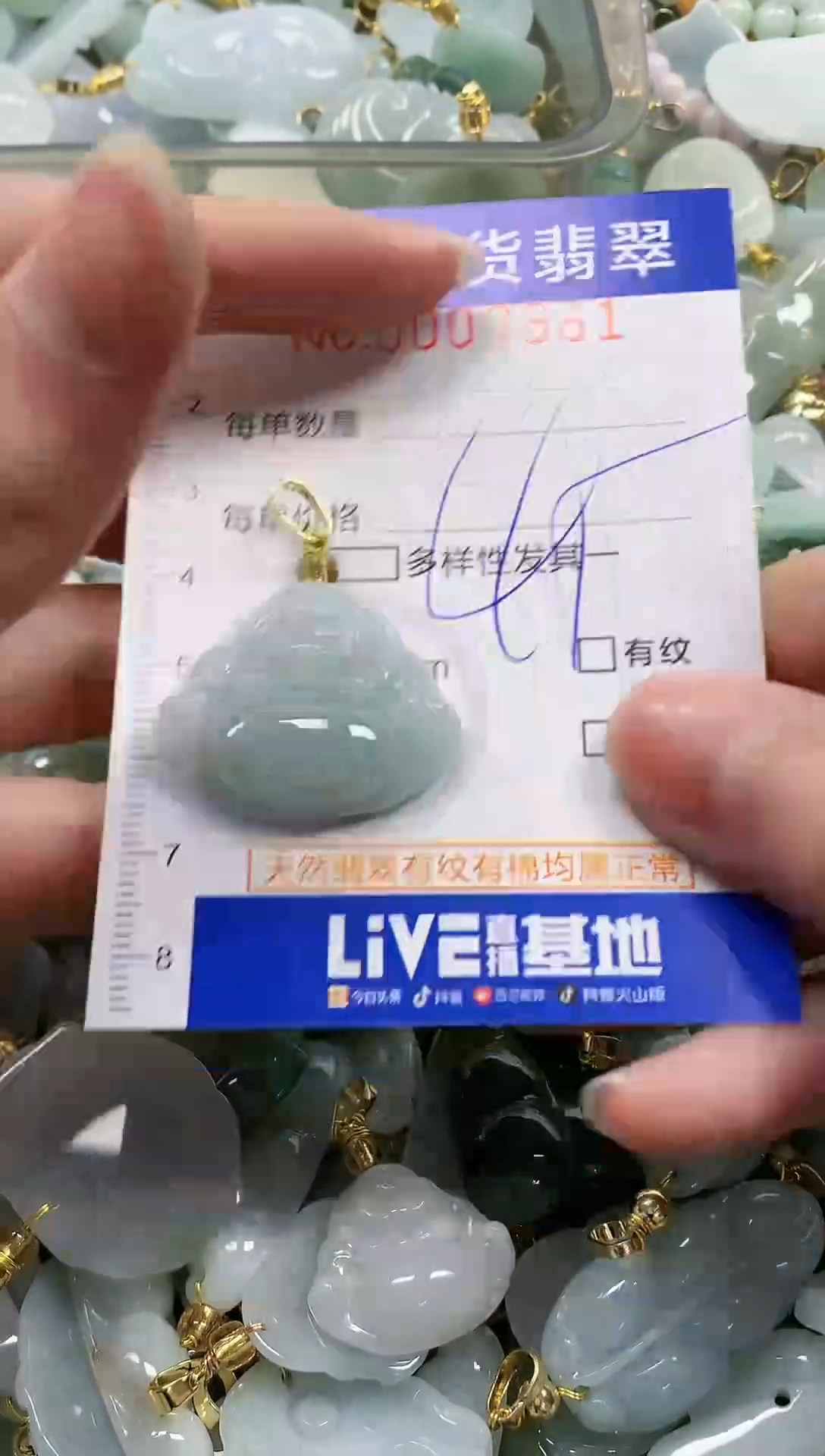 颈饰未镶嵌翡翠纯天然a货翡翠