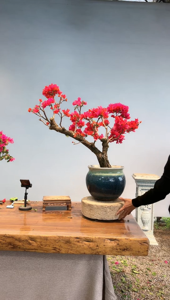 【闪购商品】aa919