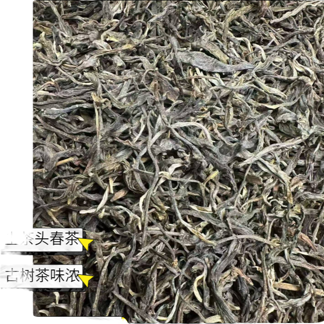 2025年勐库西半山古树普洱生茶云南普洱生茶散茶