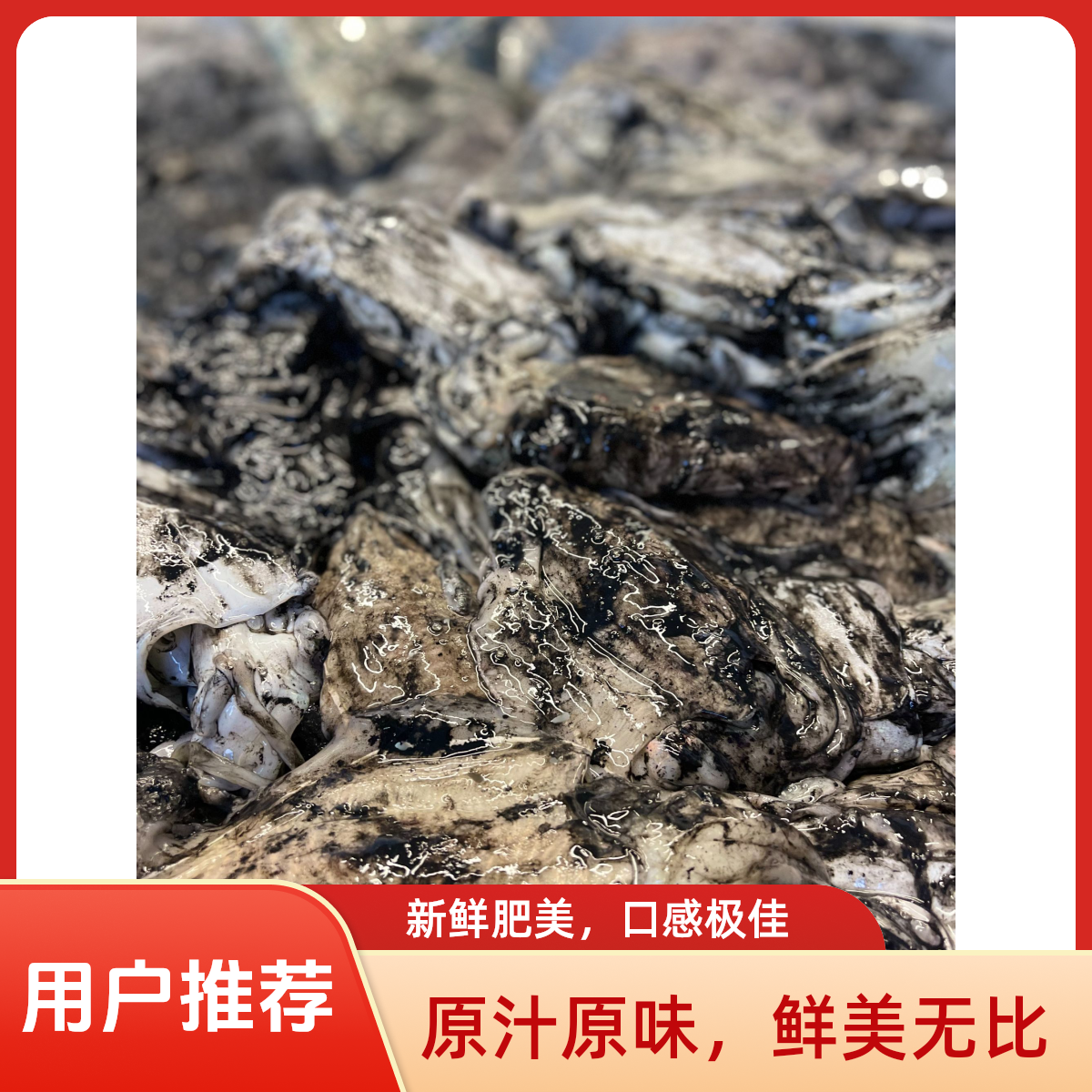 【15只左右】舟山东海野生目鱼墨鱼5斤装