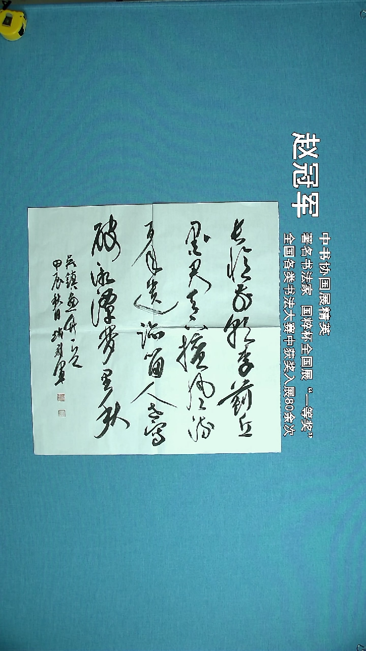 【闪购商品】书法263 上海赵冠军中书协69*69