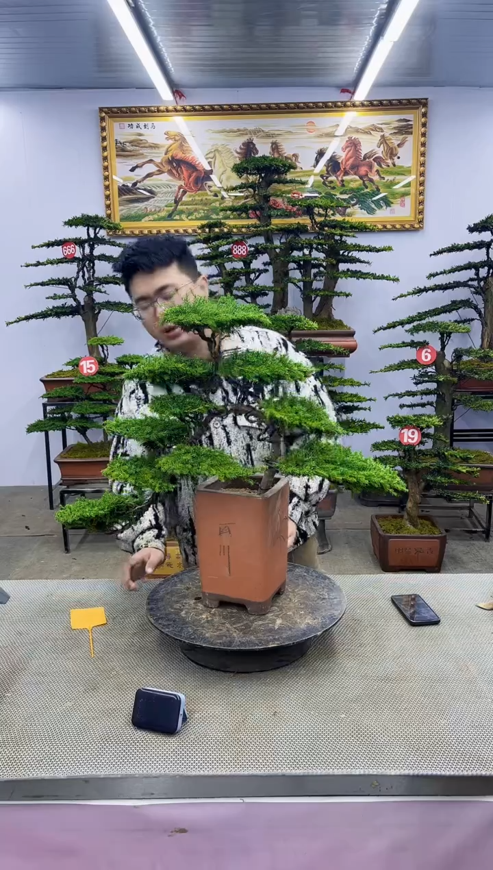 【闪购商品】啊啊啊八斗截图为准一物一拍