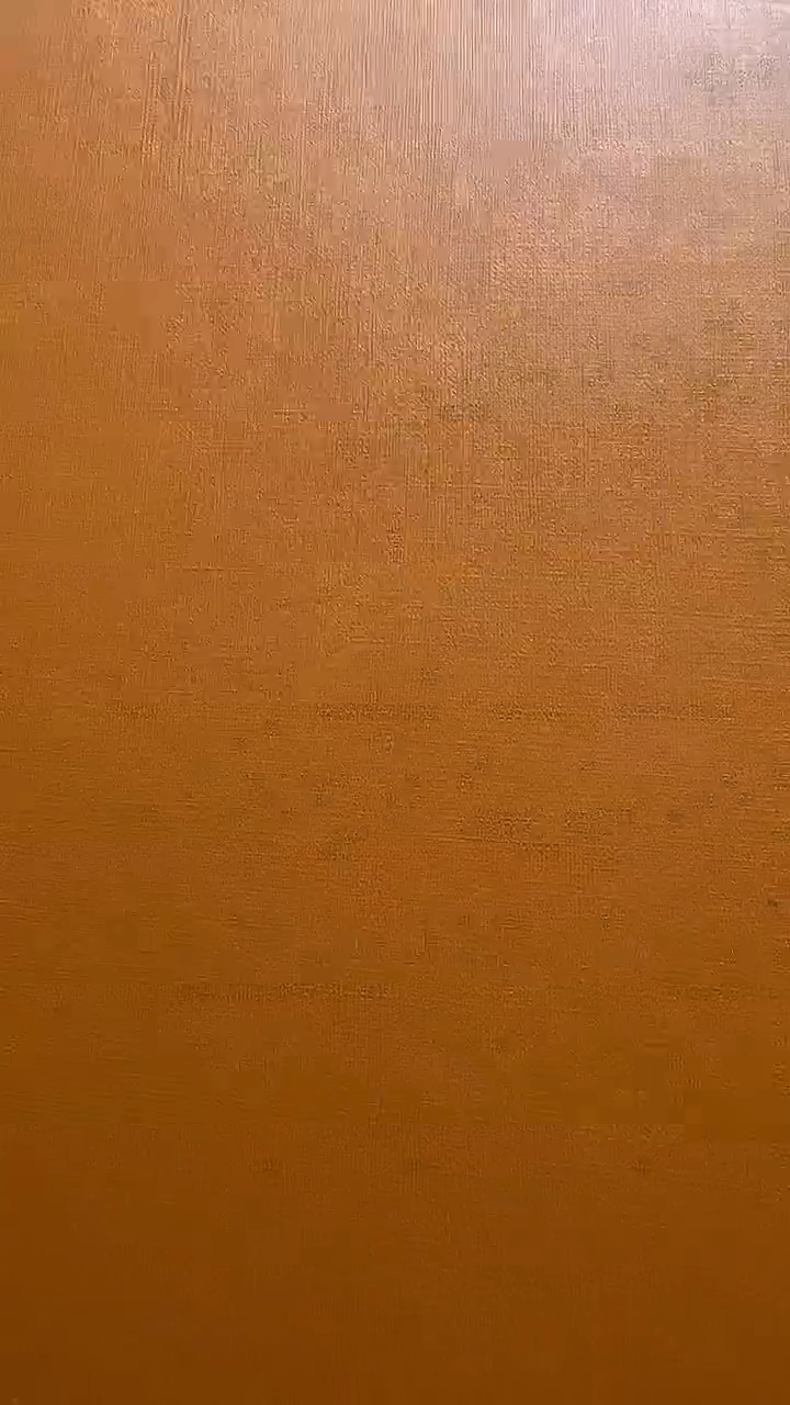 瓷片算了，真划算买它@@1