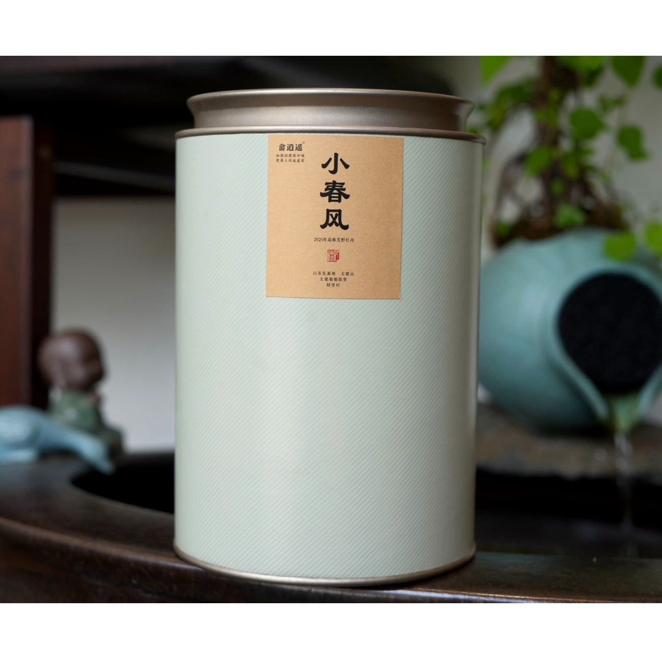 小春风 荒野特级牡丹（畲逍遥）