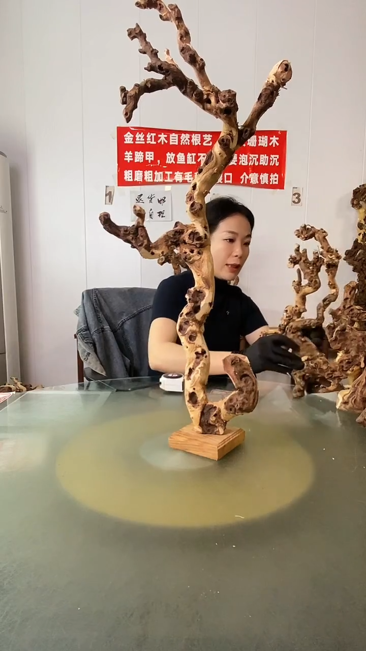 木往***酒金丝红木 羊蹄甲