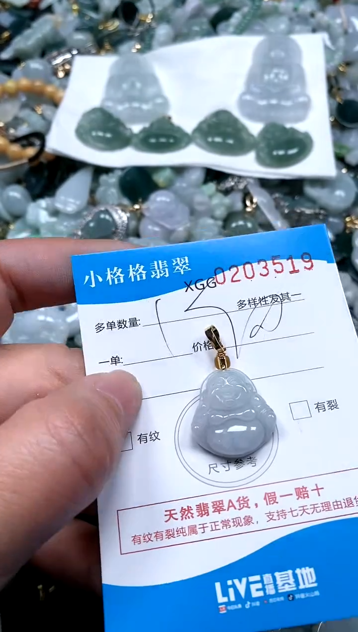 【闪购商品】翡翠颈饰未镶嵌闪购商品0203519