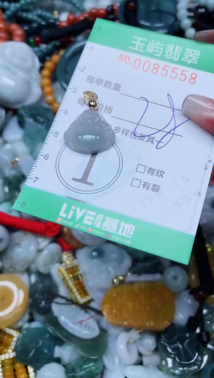 【闪购商品】翡翠颈饰未镶嵌闪购0085558