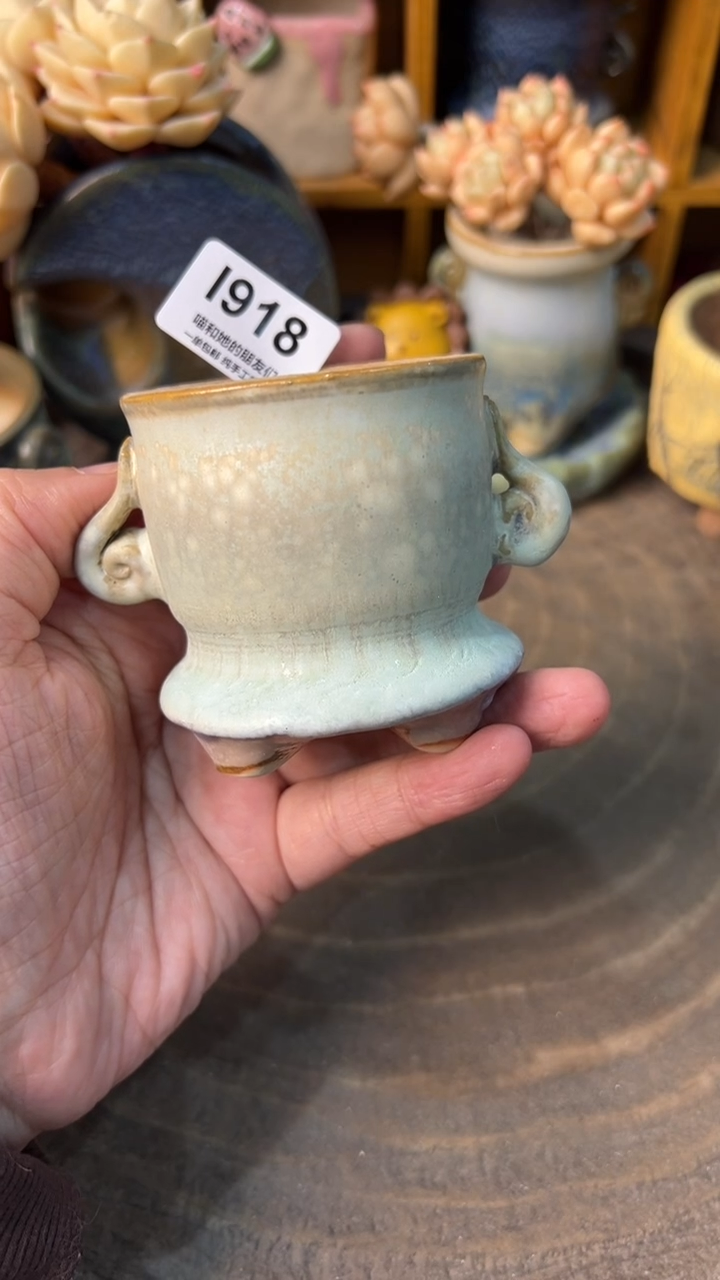 918 内口5【多肉花盆多肉盆】