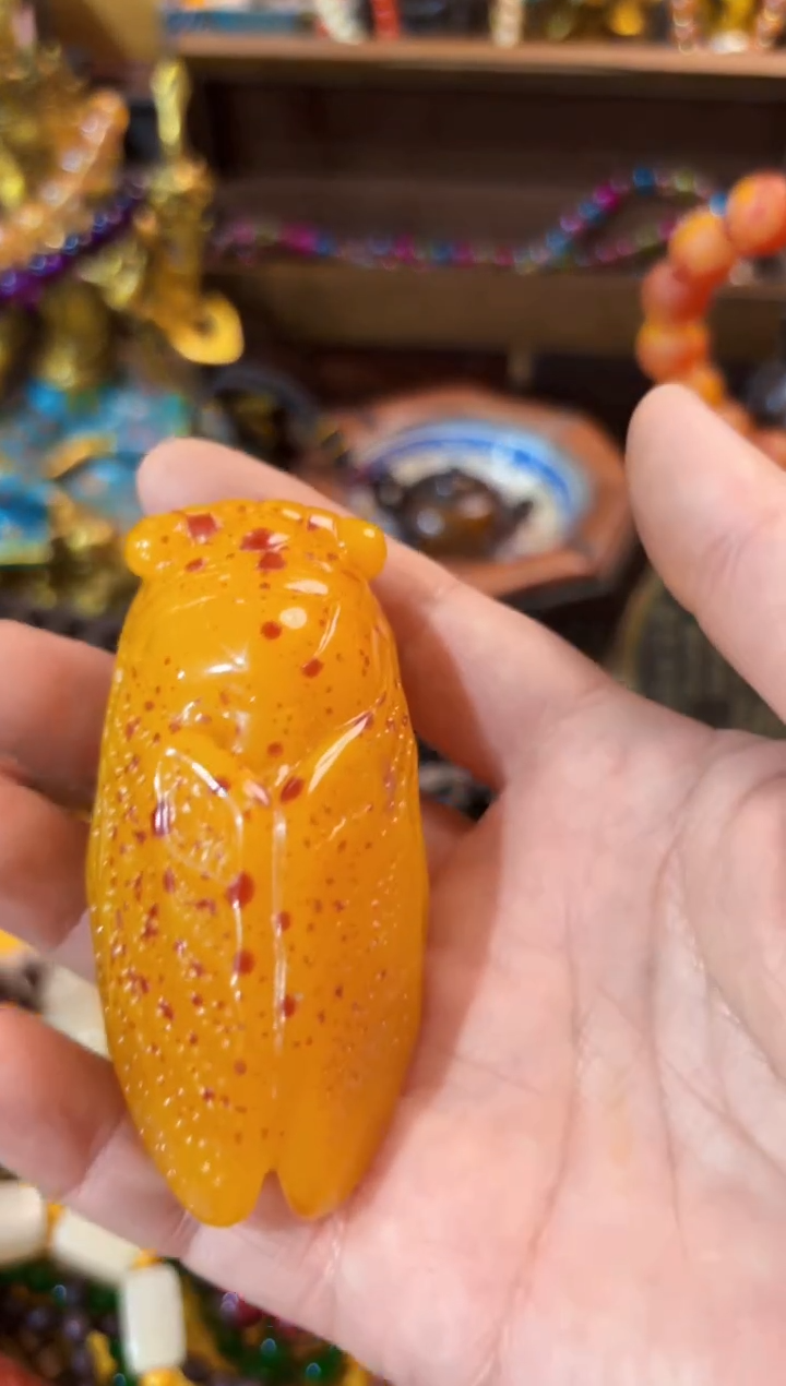 未镶嵌蜜蜡耳饰-------------------