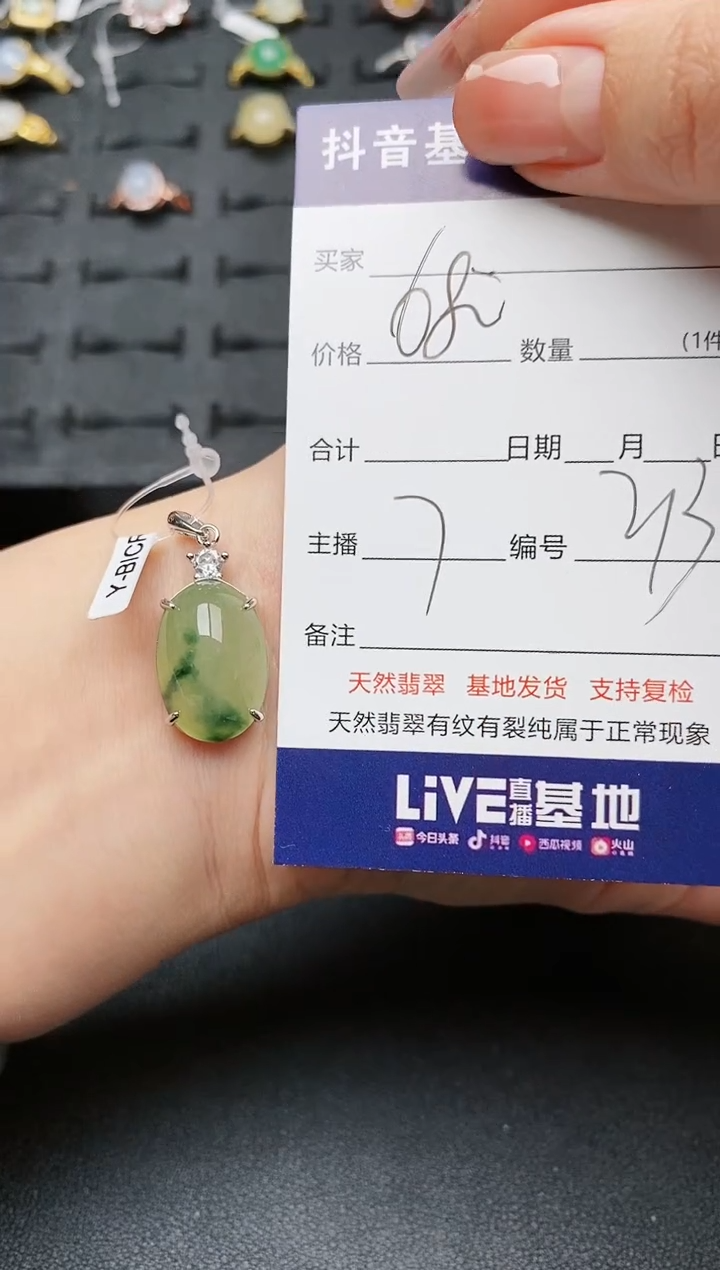 【闪购商品】翡翠颈饰银S925镶嵌.........