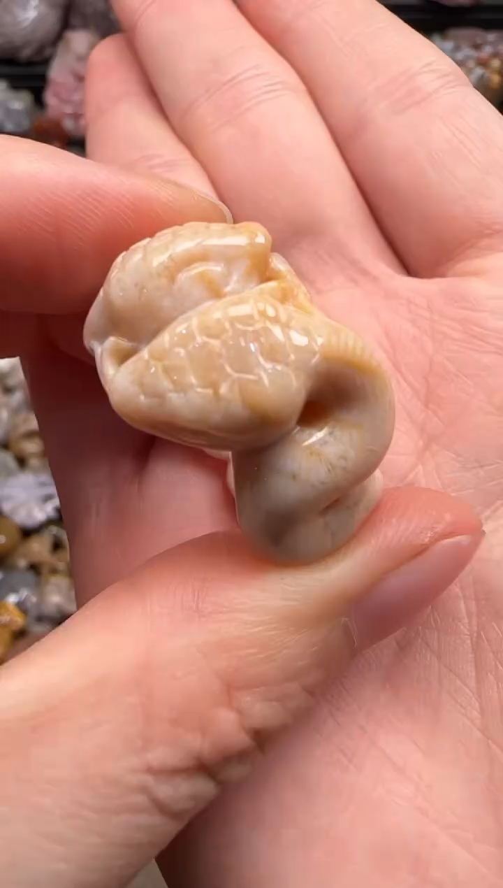 【闪购商品】硅化珊瑚（珊瑚玉）颈饰未镶嵌093