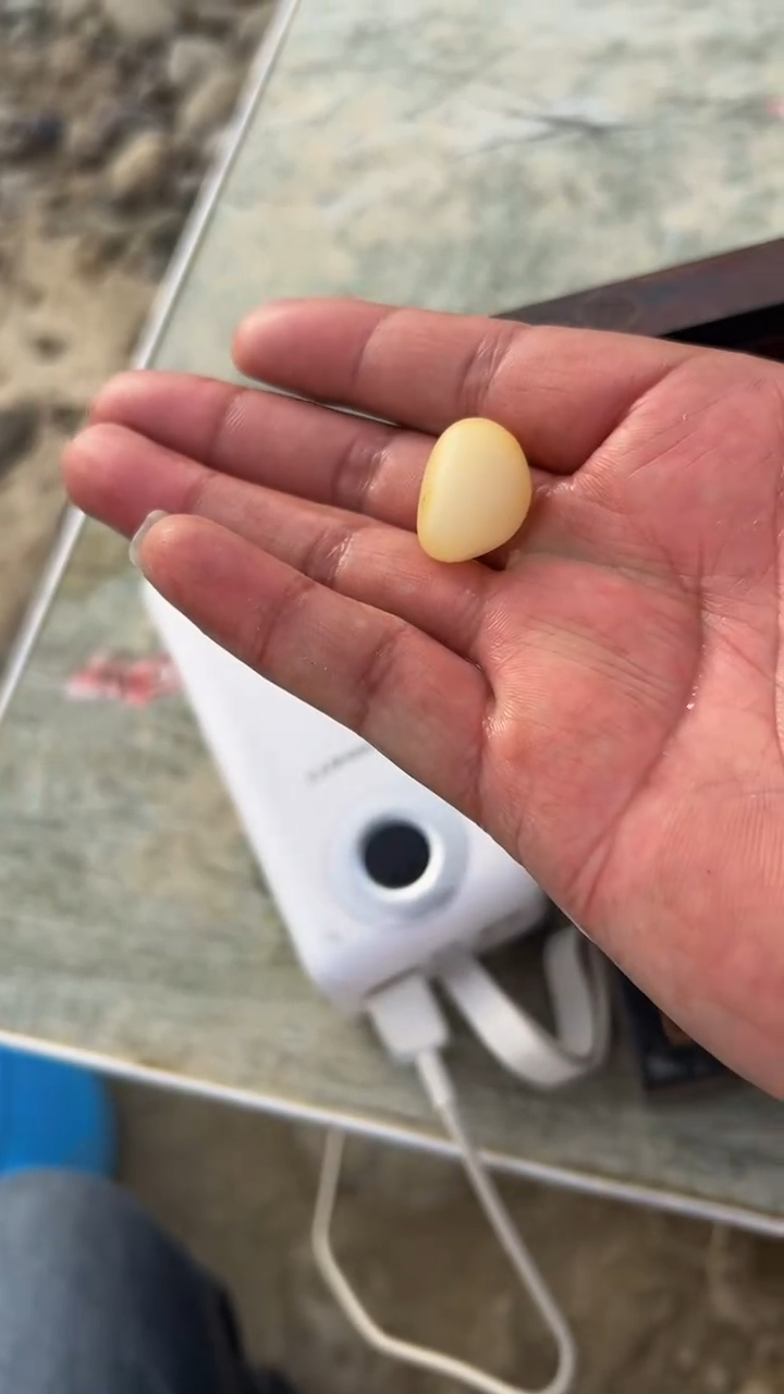 新疆和田小籽石一物一拍   1