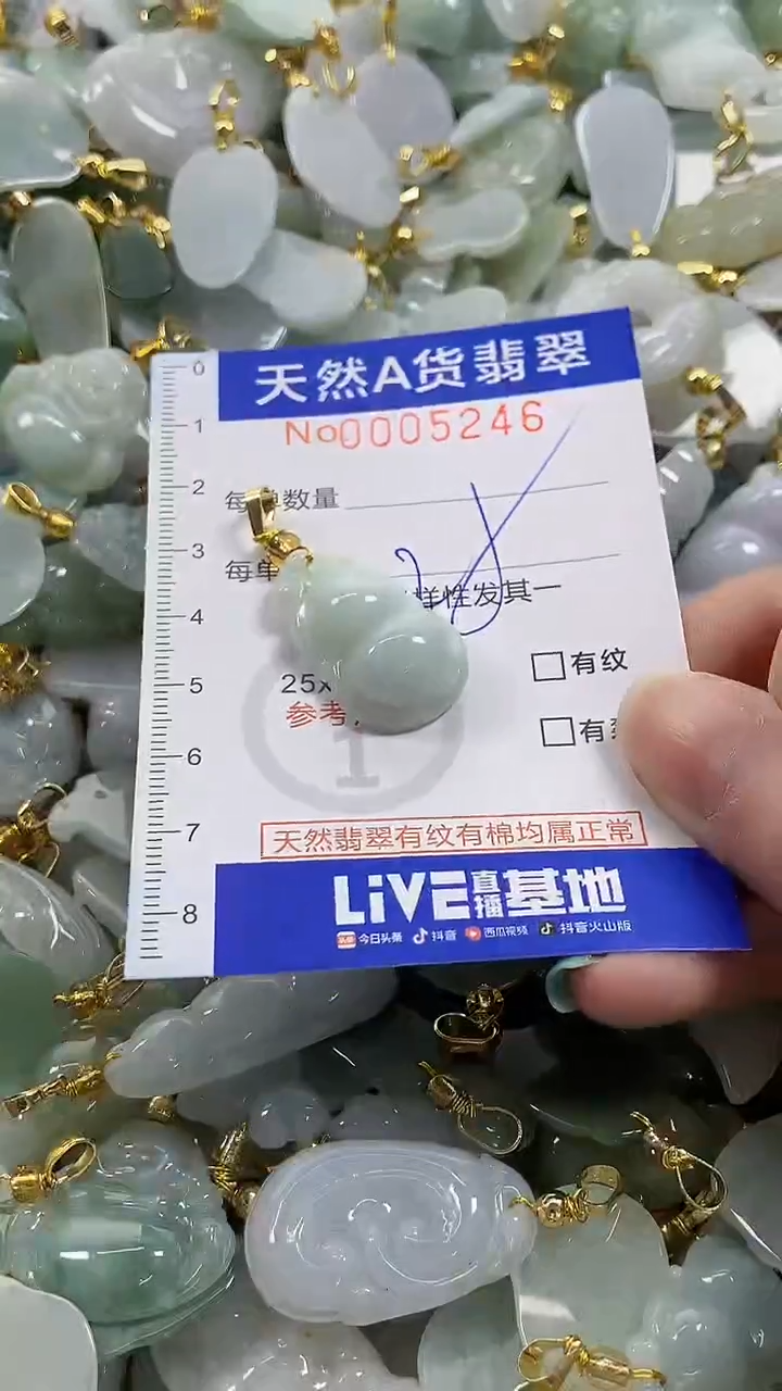 颈饰未镶嵌翡翠纯天然货翡翠
