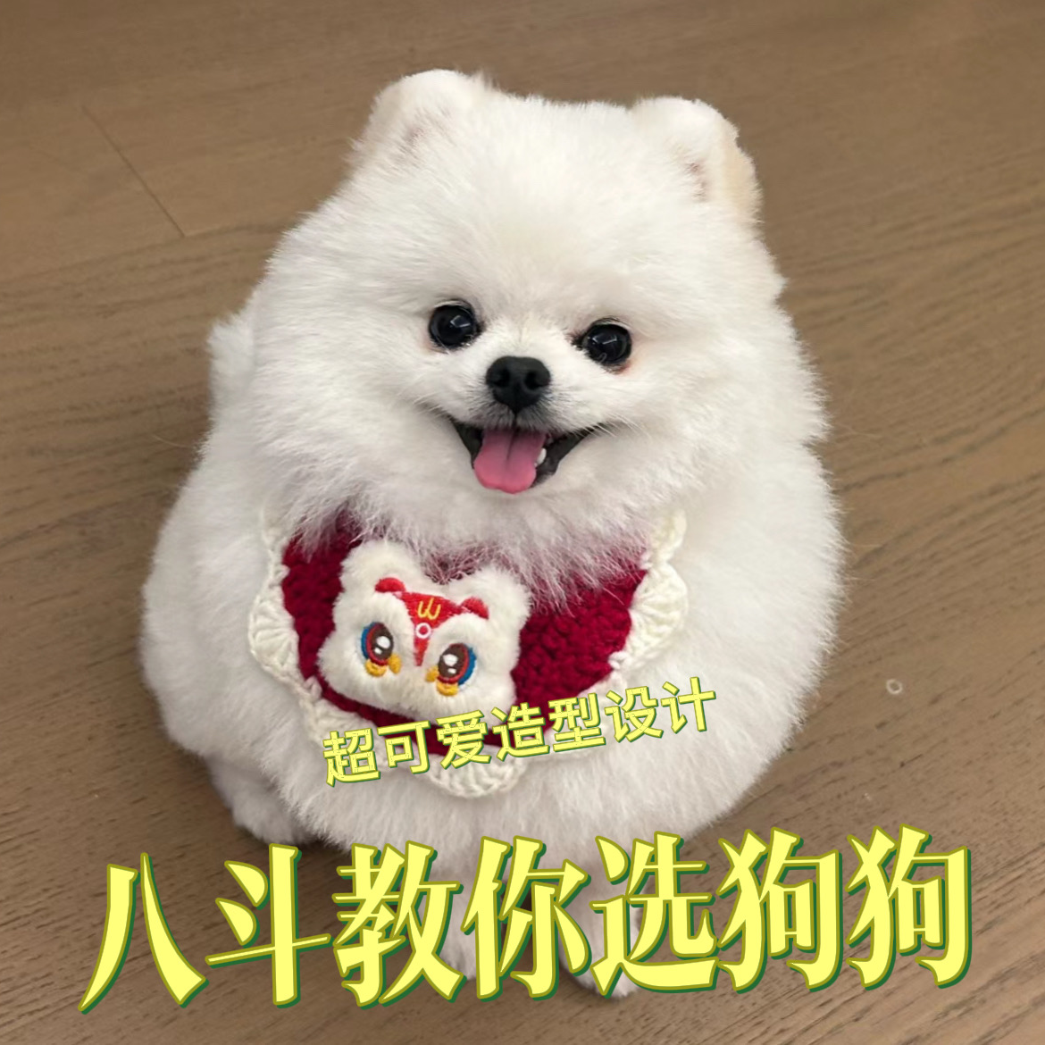了解狗狗的兴趣爱好