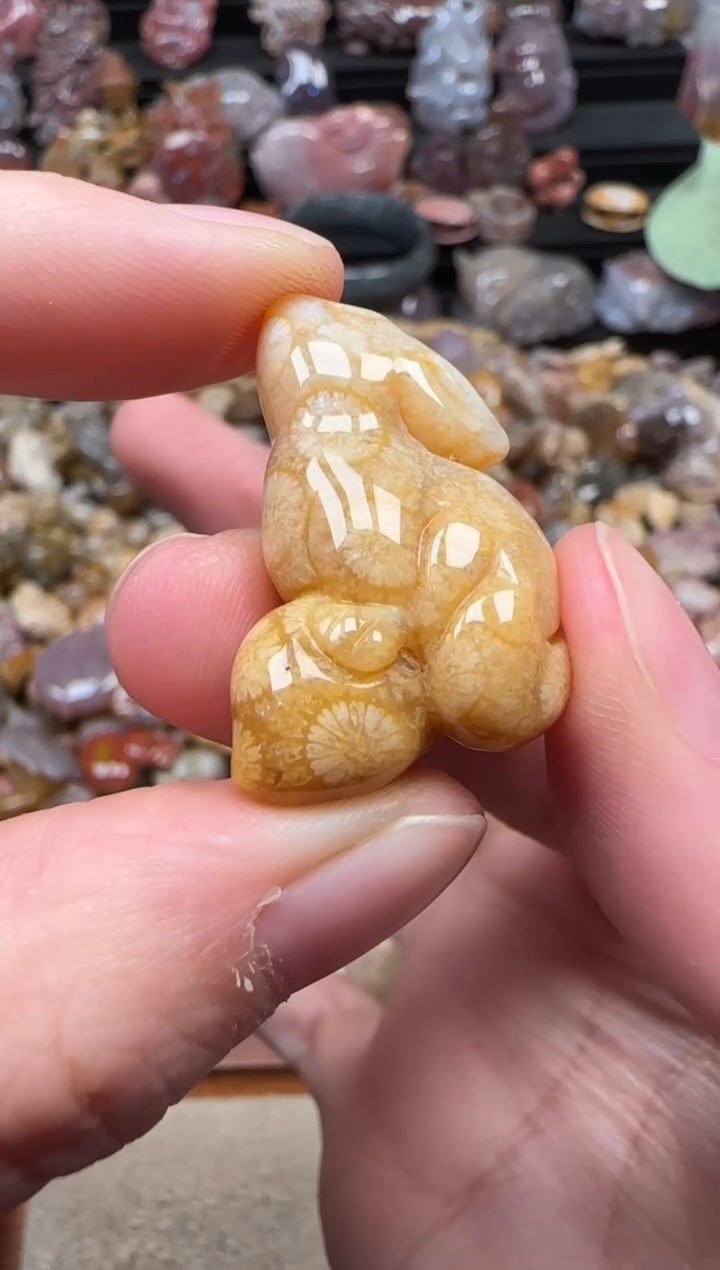 颈饰未镶嵌硅化珊瑚（珊瑚玉）386