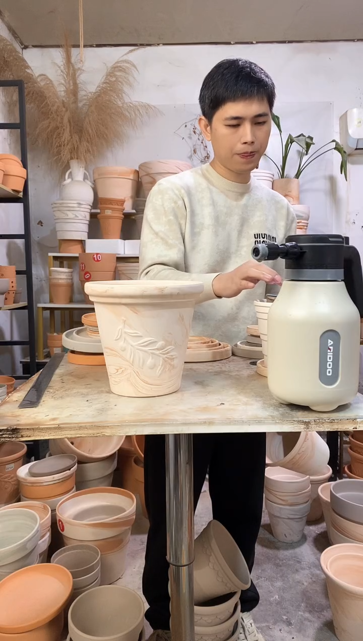 20*19玛奇朵橄榄枝 1盆无托