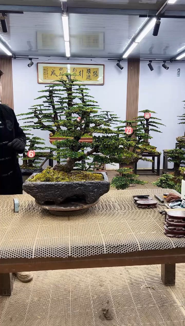 【闪购商品】000000000