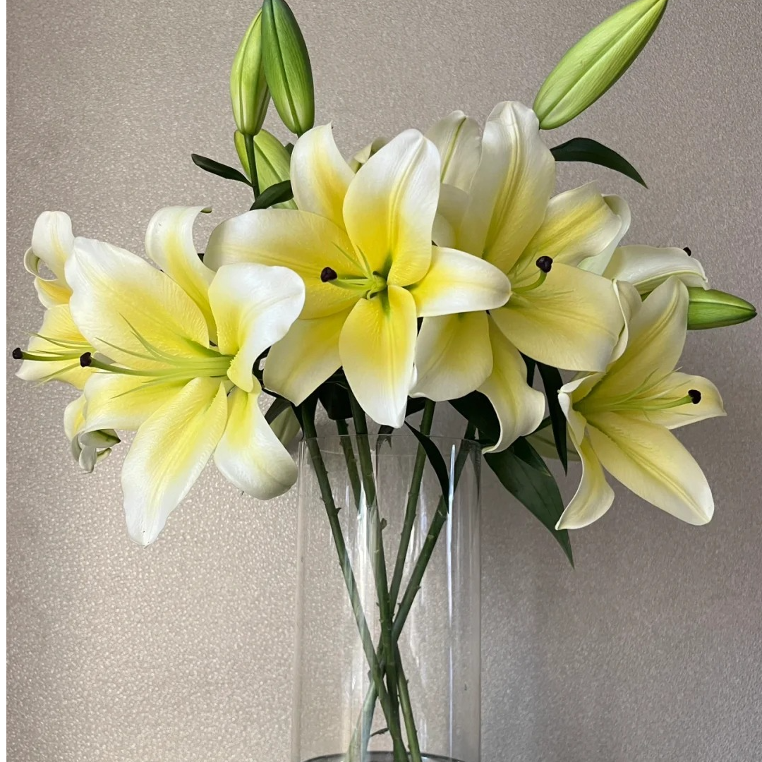 【花王朝甄选】黄天霸香水百合 任意两单升级快递 发货后不支持退款