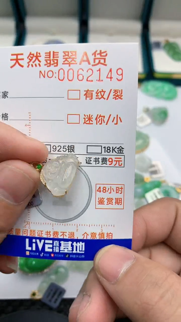 【闪购商品】翡翠颈饰18K金镶嵌            8