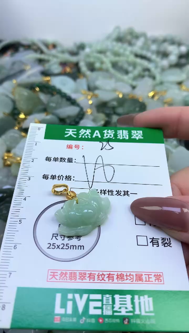 颈饰未镶嵌翡翠纯天然缅甸A货翡翠