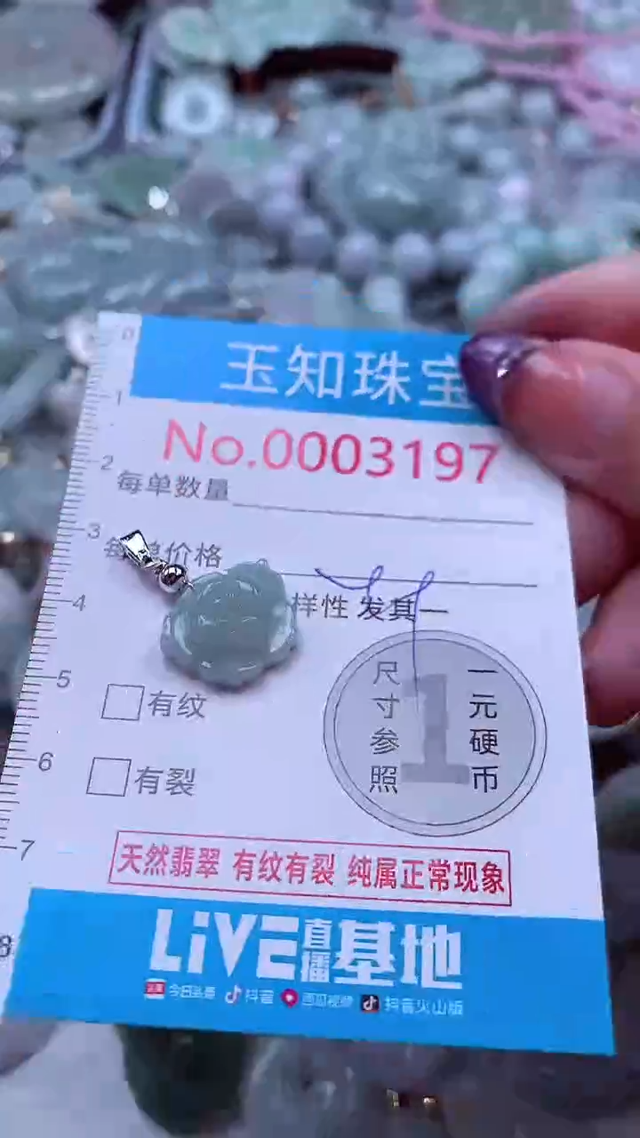 翡翠未镶嵌吊坠(不含链)3197