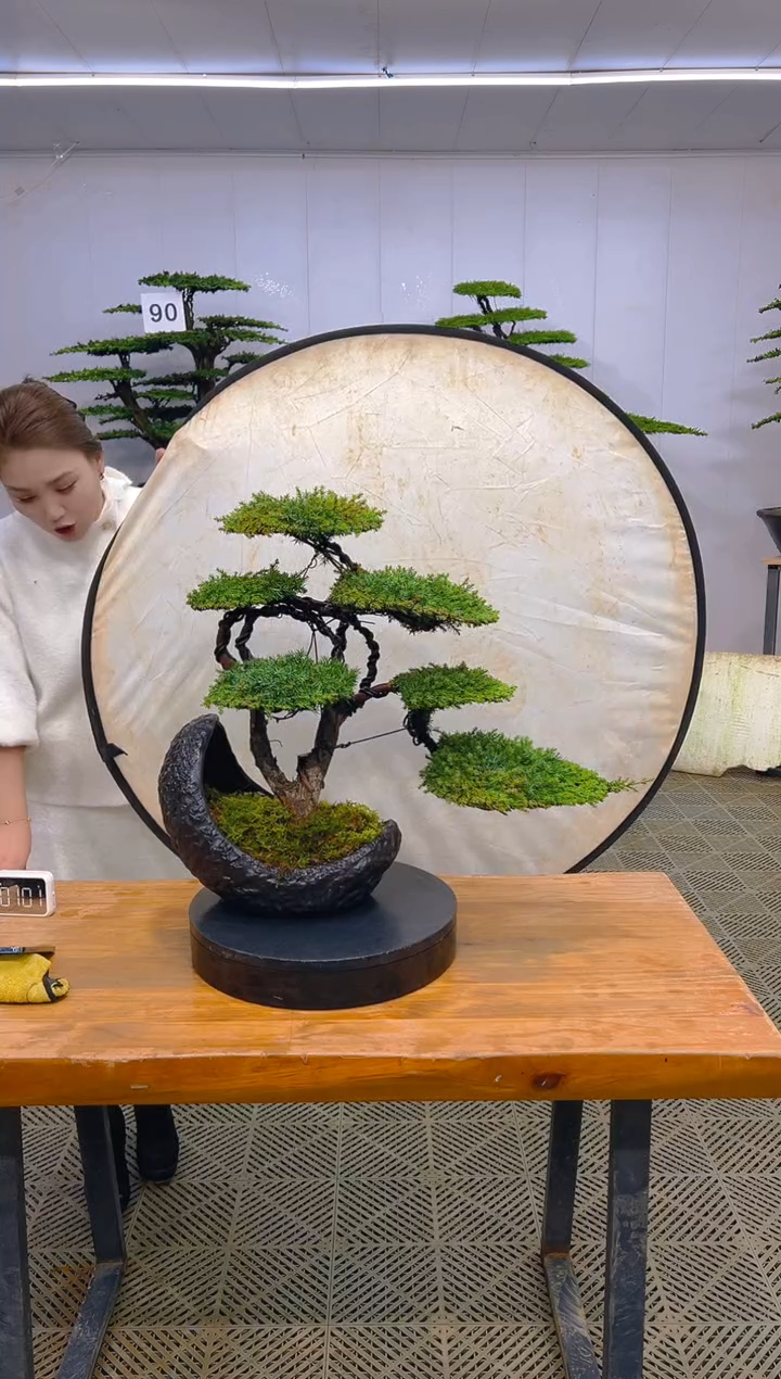 无花朵一物一拍一物一拍