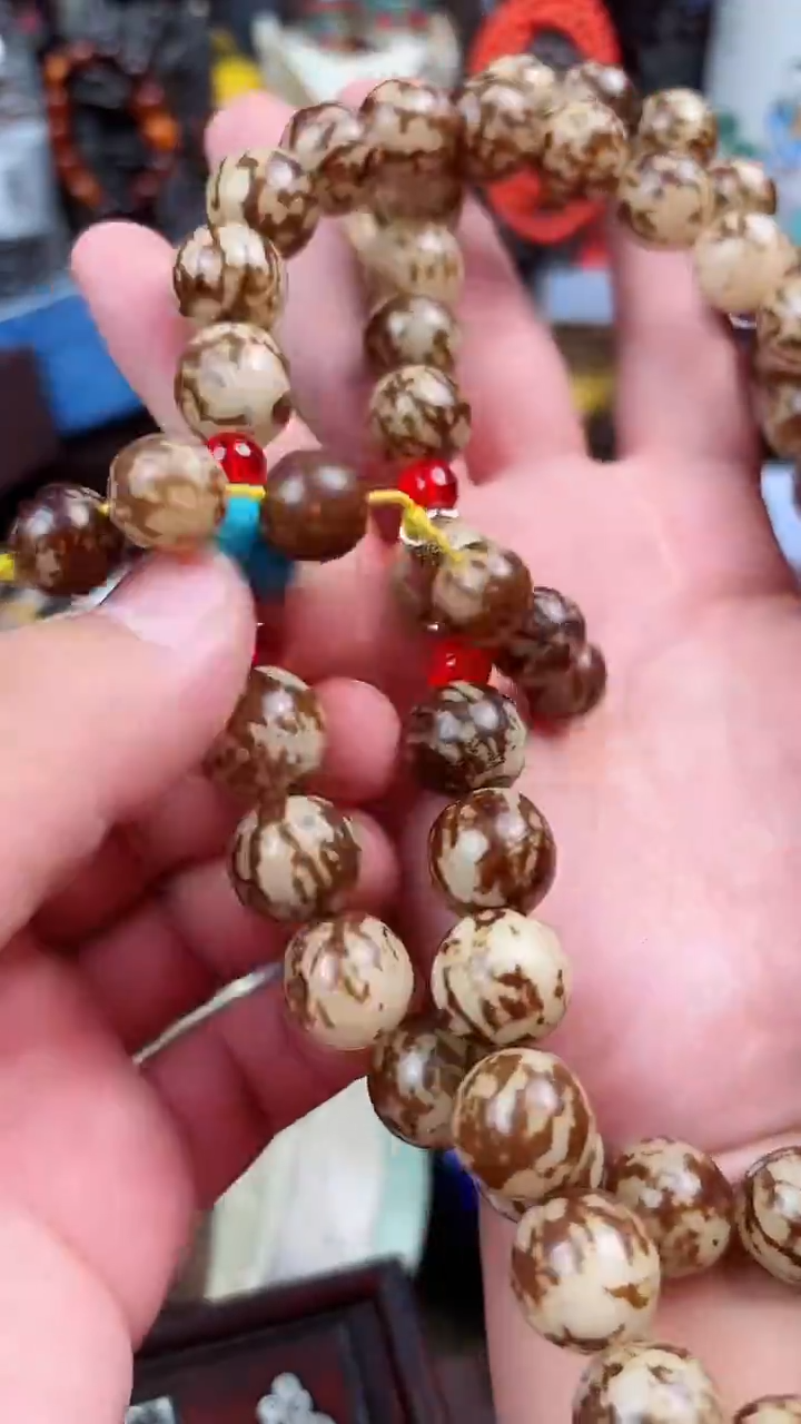 木琳专属哈哈哈哈哈哈哈哈哈