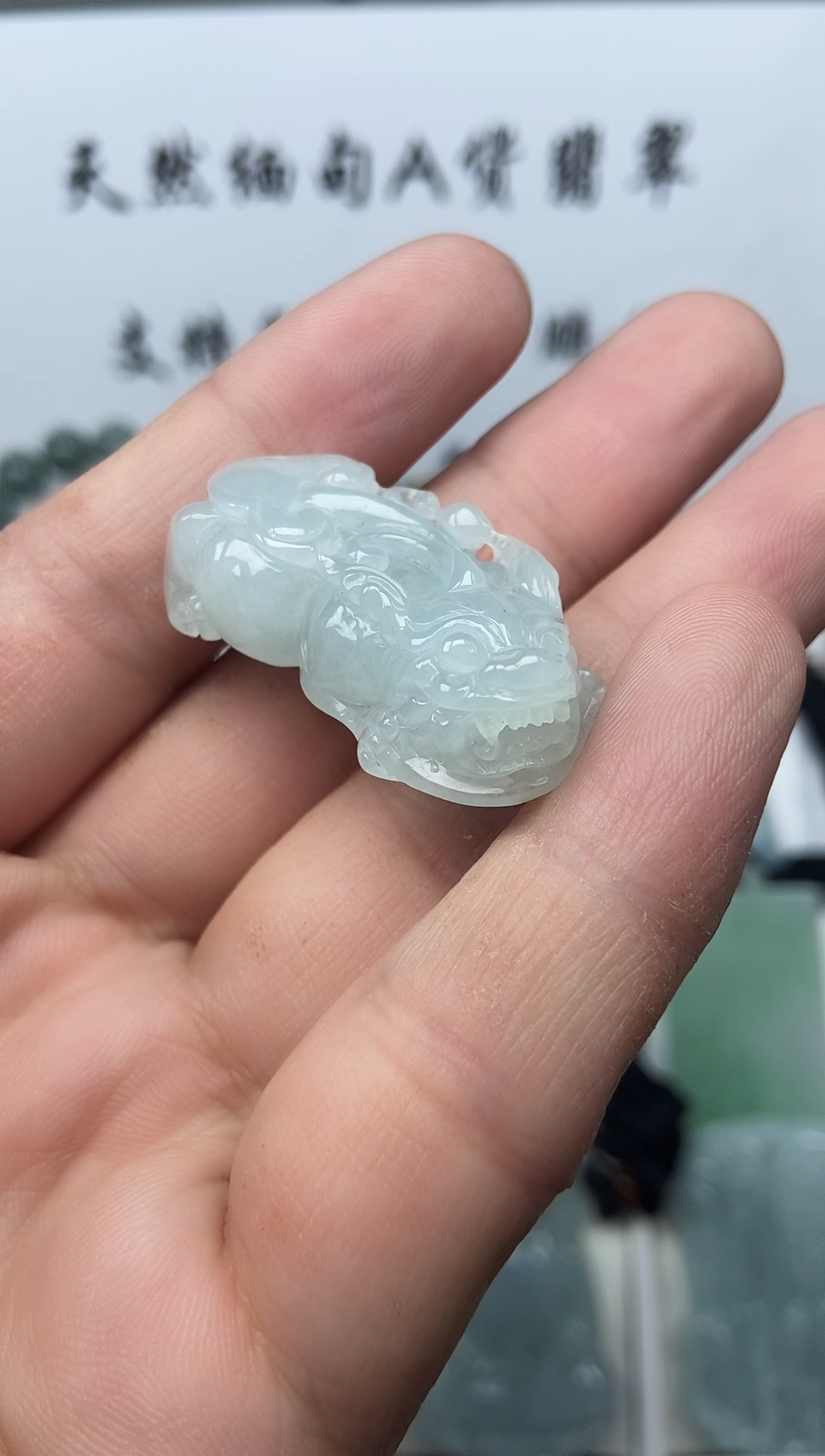 颈饰未镶嵌翡翠貔貅