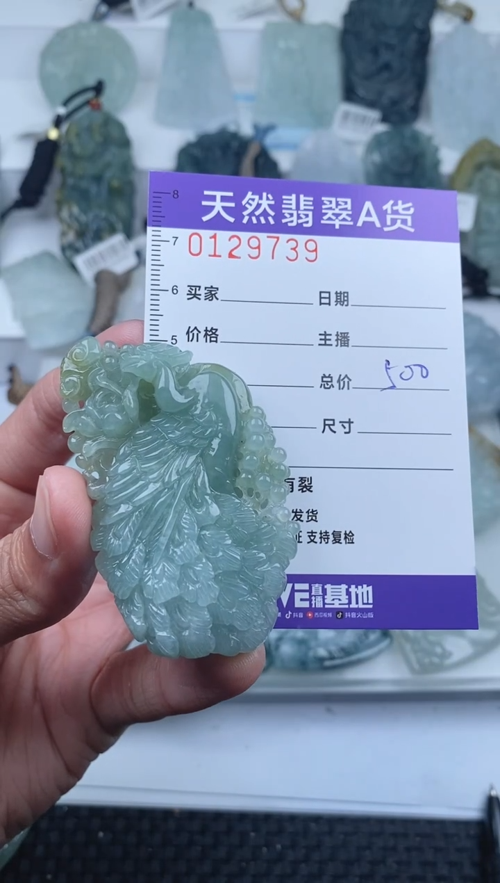 【闪购商品】翡翠颈饰未镶嵌         730