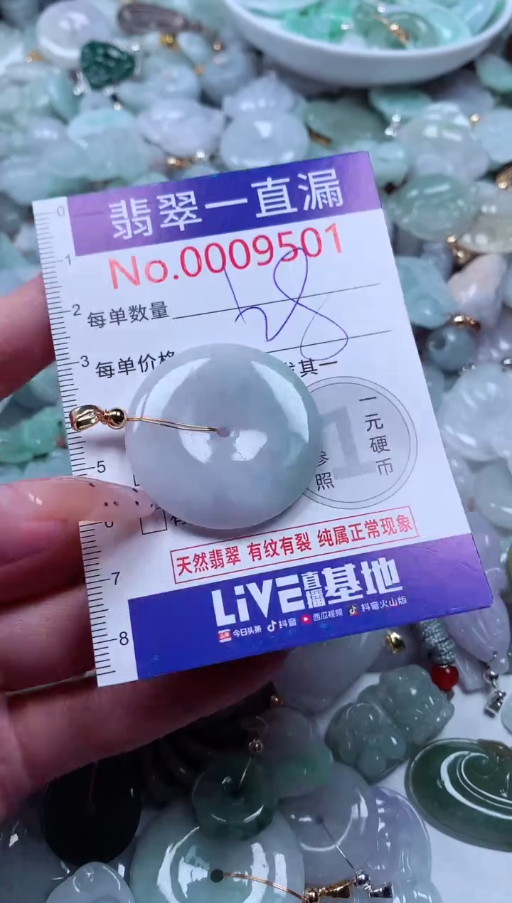 翡翠未镶嵌吊坠(不含链)9501