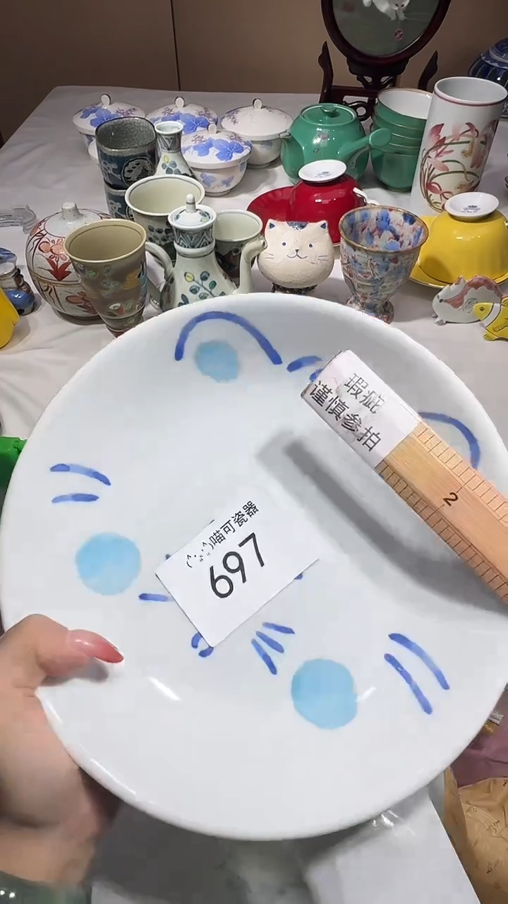 瓷片手****4可瓷器 闪购类型 定向 手机用户6001