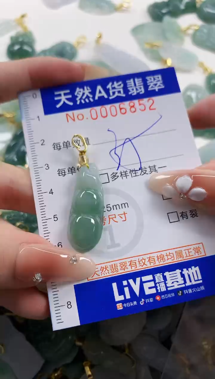 颈饰未镶嵌翡翠天**命天然A货翡翠