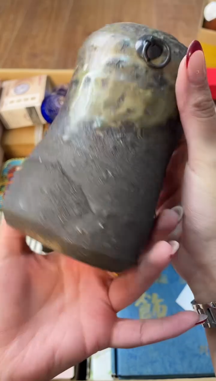 瓷片鹰*旋701+++000000000