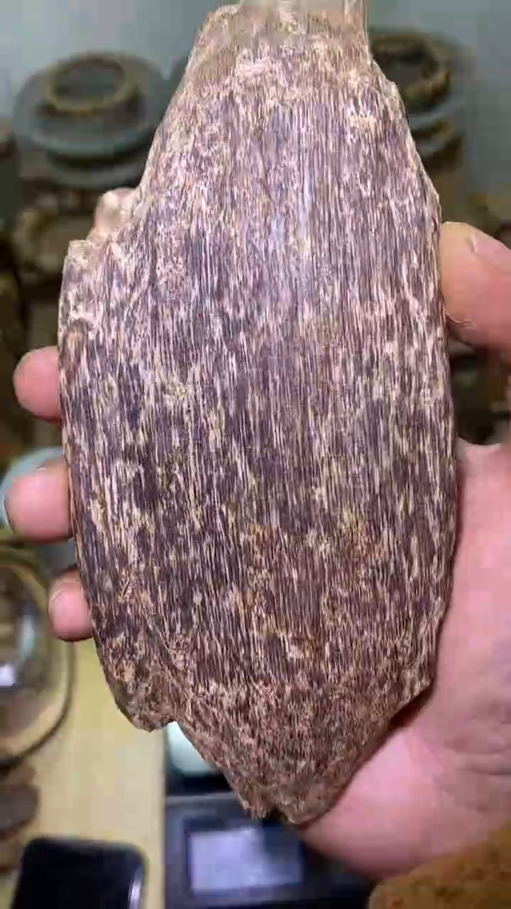 【闪购商品】沉香沉香碎屑巴布亚65克