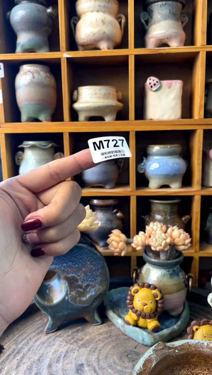 抱****盹727【多肉花盆多肉盆】