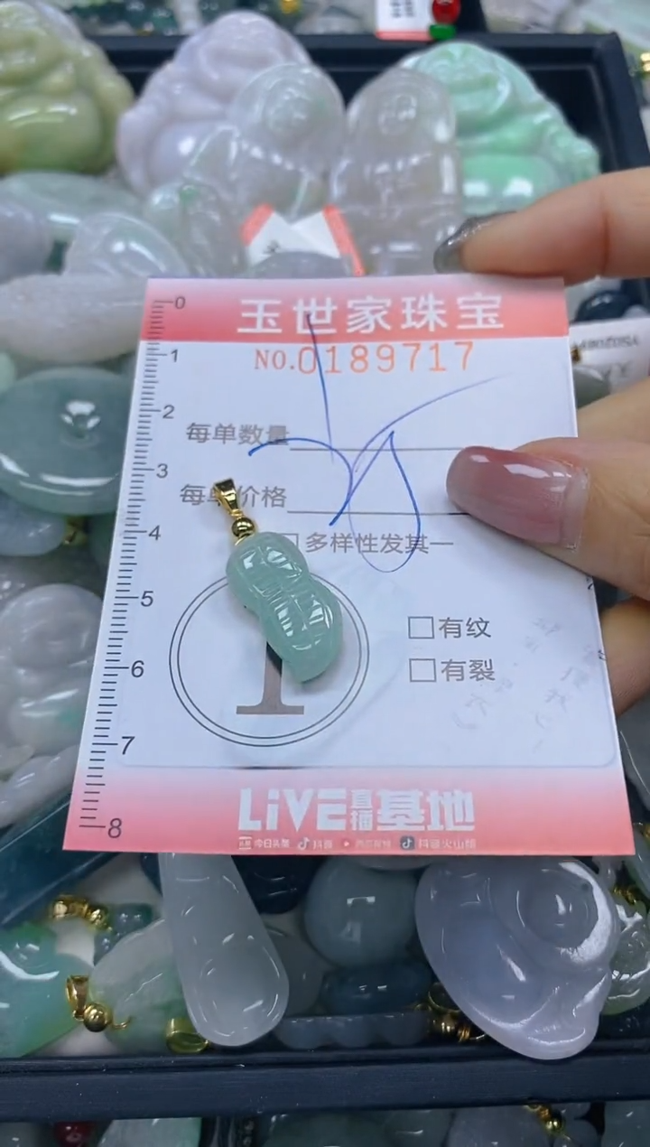 【闪购商品】翡翠颈饰未镶嵌闪购0189717