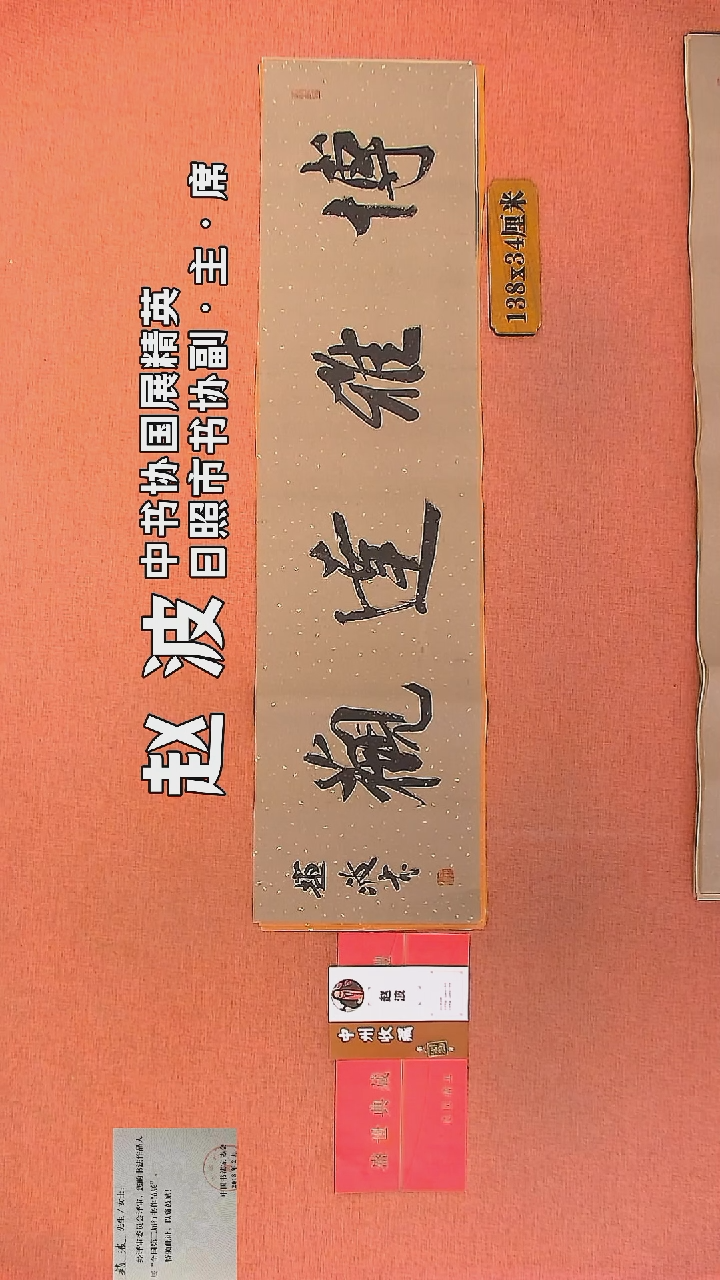 【闪购商品】书法260         赵波书法作品