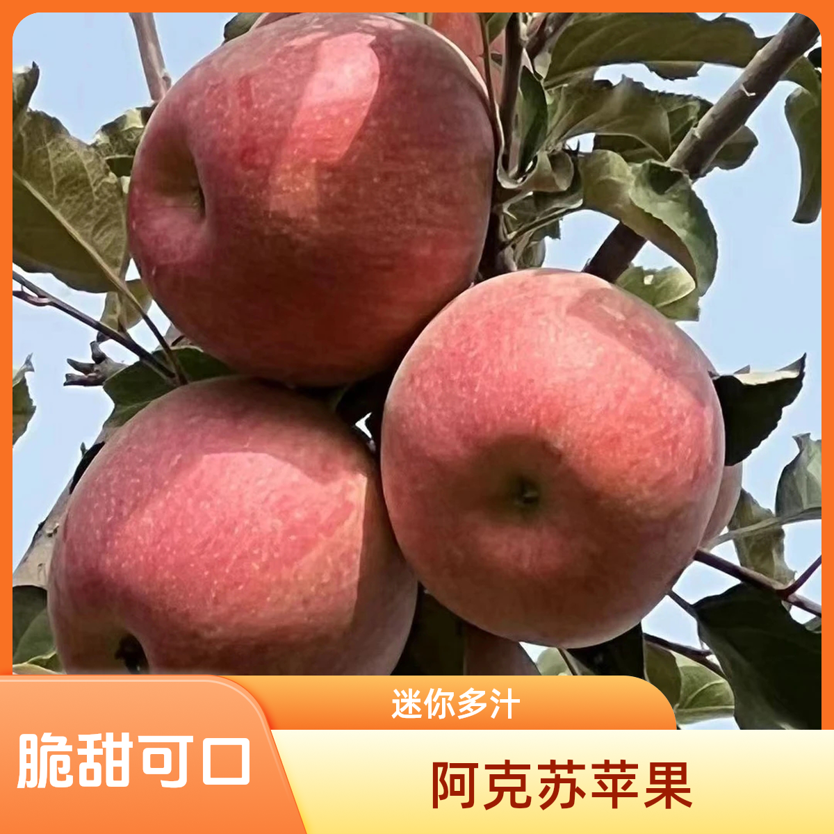 正宗新疆阿克苏冰糖心产地直发京东包邮坏果包赔