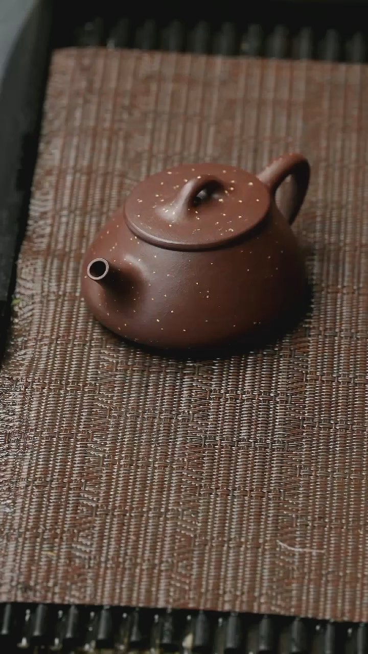 【闪购商品】紫砂茶壶五堂 椭圆石瓢