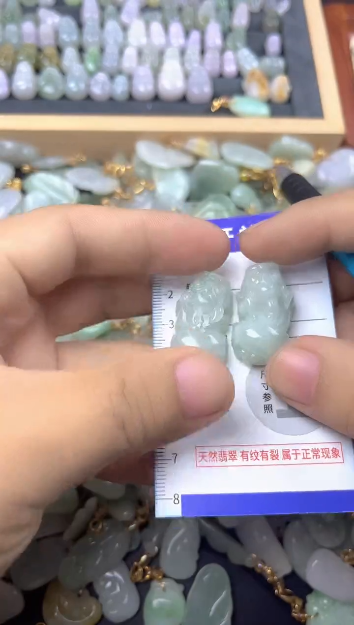 颈饰未镶嵌翡翠天然A货翡翠