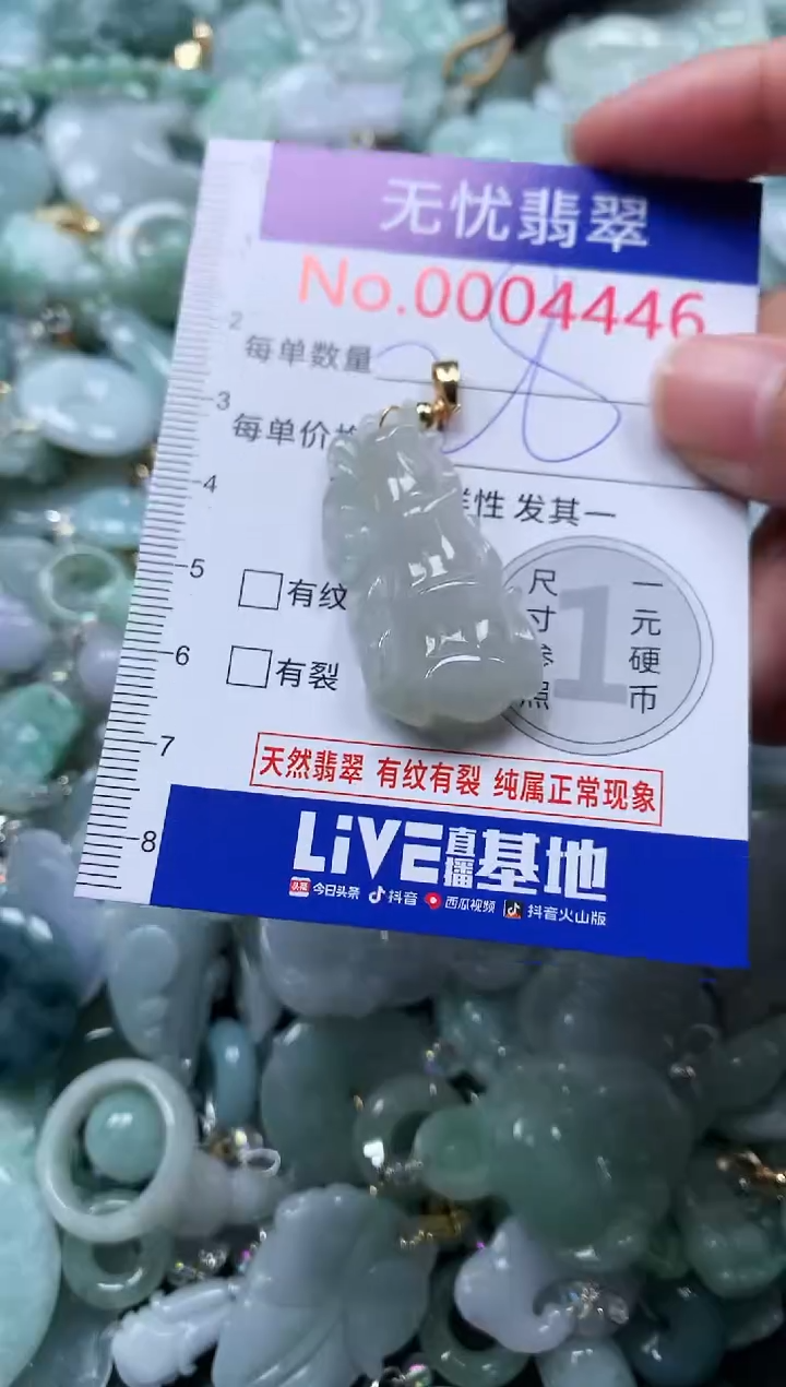 颈饰未镶嵌翡翠4446