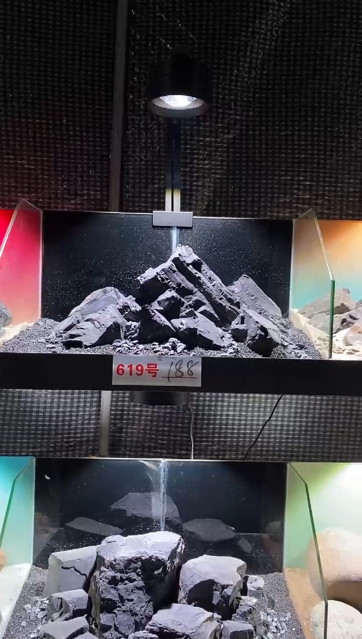 619号鱼缸造景（包含底砂）