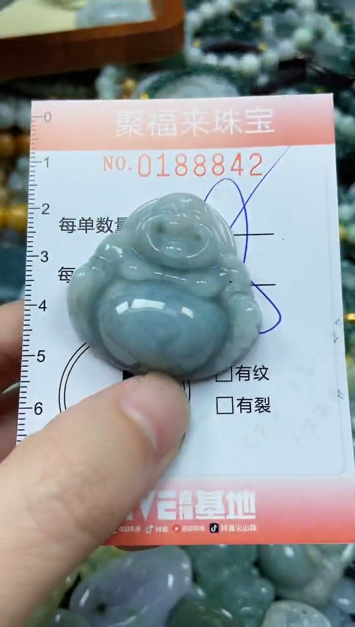 翡翠未镶嵌颈饰闪购0188842