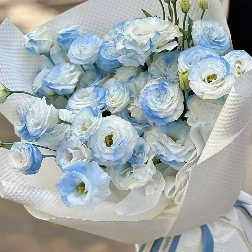 【喷色碎冰蓝洋桔梗】同地址两单以上顺丰包邮送货上门+送配草1扎