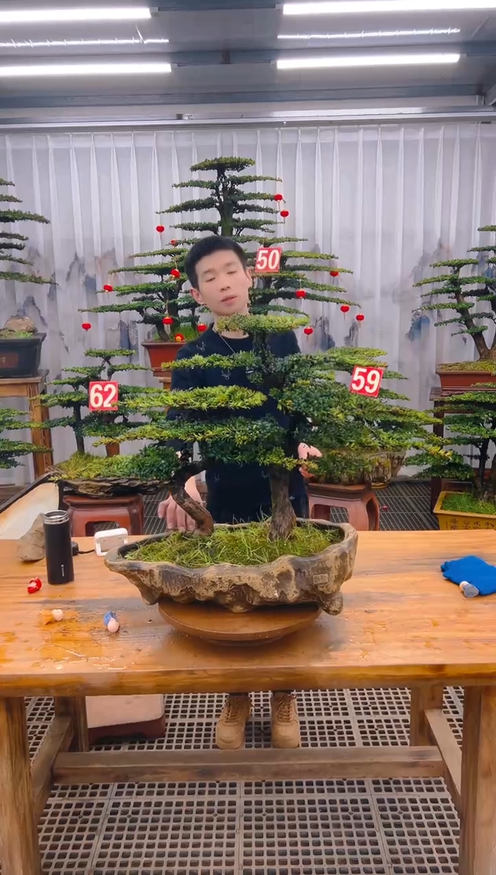 【闪购商品】紫砂精品盆景直播间一物一拍