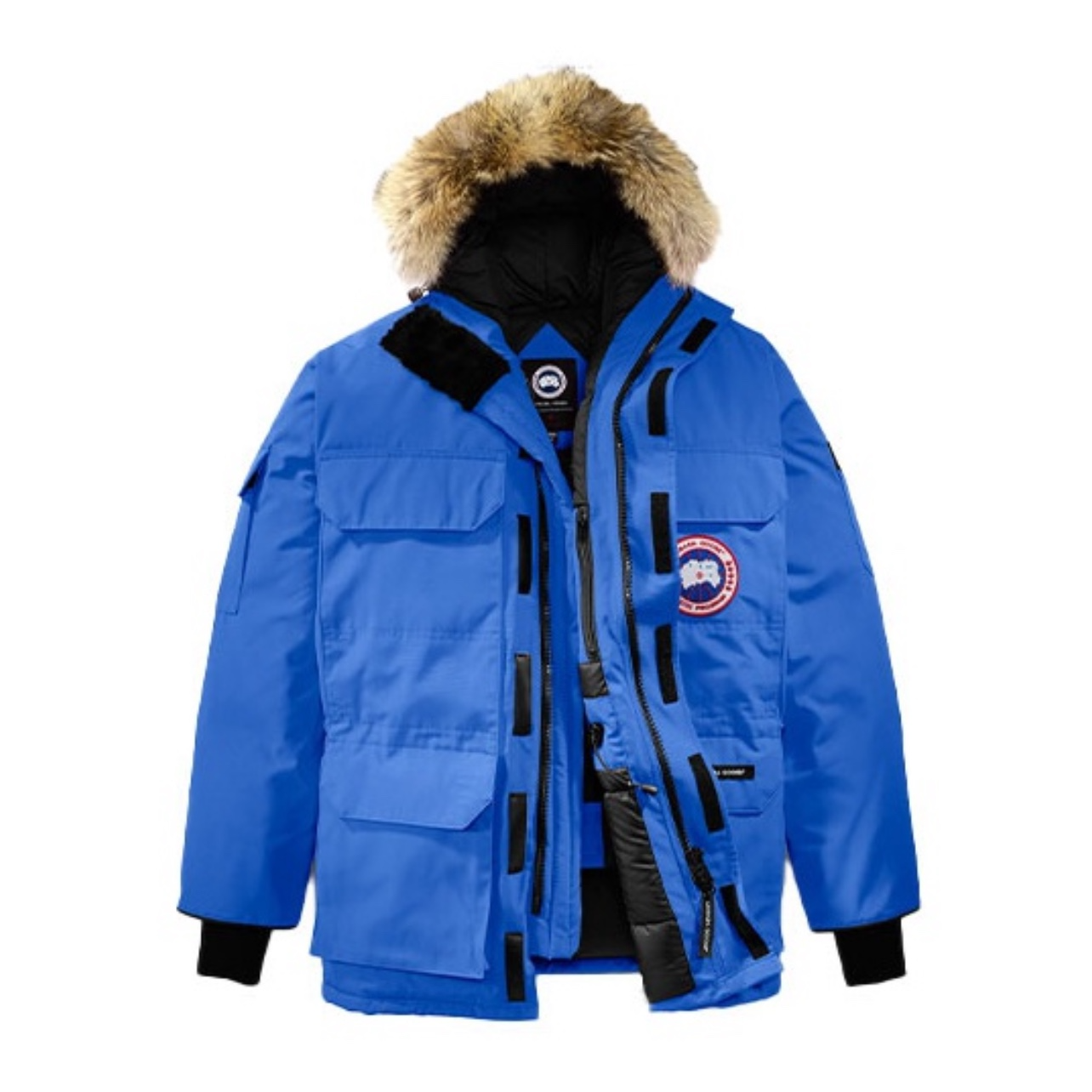 未使用 CANADA GOOSE 远征系列防水防风系列保暖羽绒服（亚洲版）