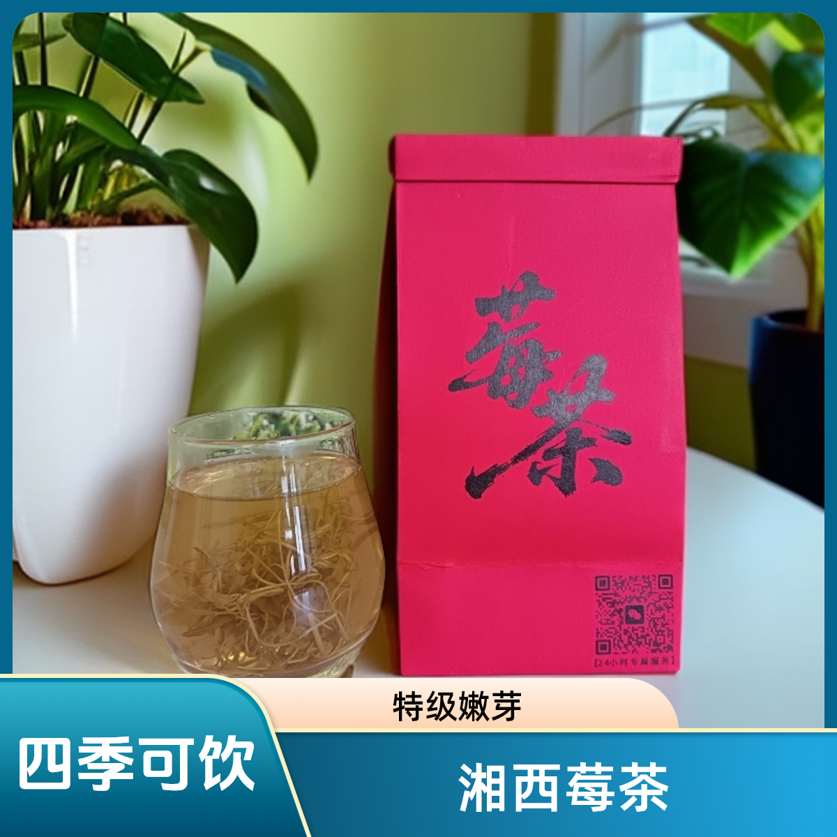 【龙须芽尖20g试喝装】湘西莓茶清甜藤茶正宗湘西好茶