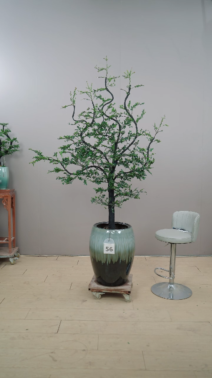 【闪购商品】56号广东小叶紫檀黑骨茶