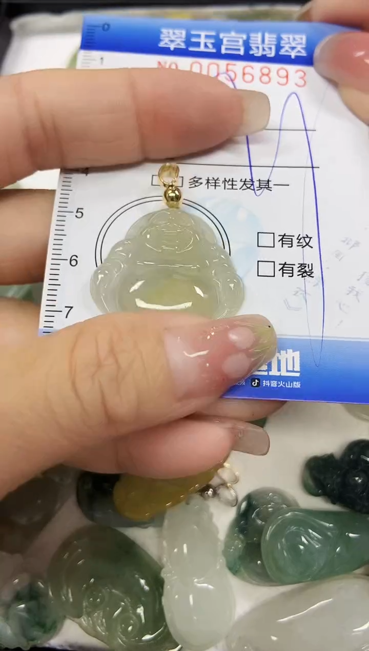 【闪购商品】翡翠颈饰未镶嵌闪购商品0056893