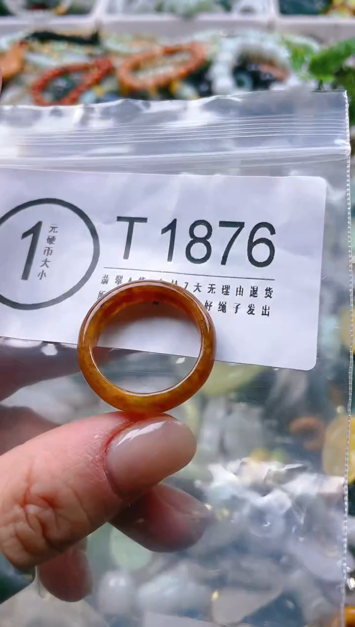 【闪购商品】翡翠颈饰未镶嵌/T/翡翠A货一图一物